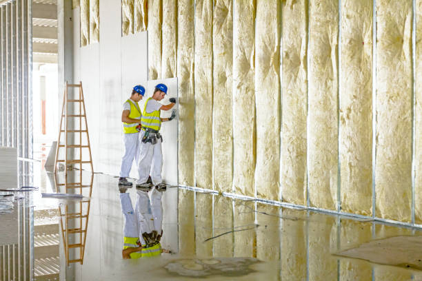 Professional Insulation in Galatia, IL